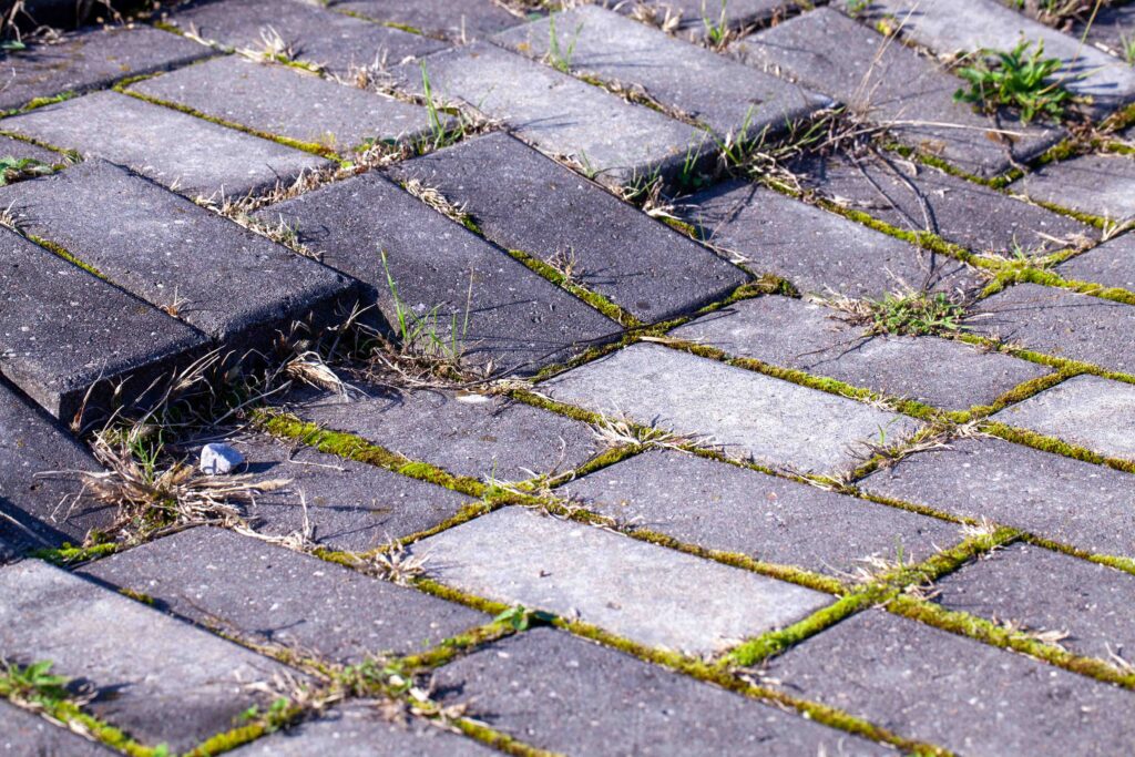 Tried looking block paved driveway with weeds and cracks